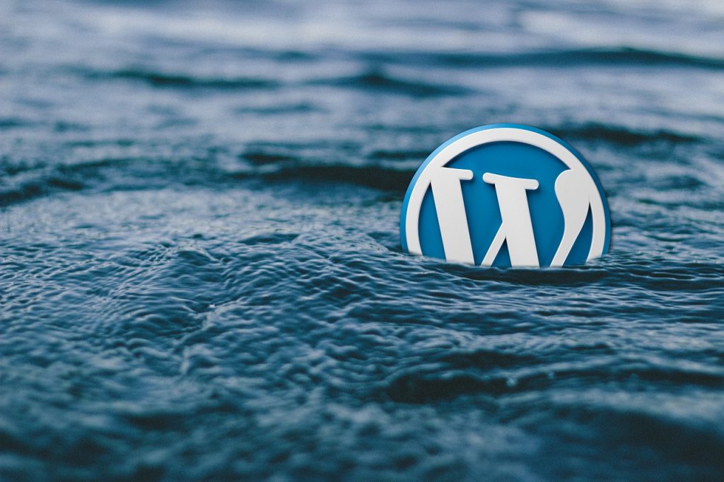 5 WordPress Plugins that Every Online Business Needs